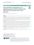 Early shell field morphogenesis of a patellogastropod mollusk predominantly relies on cell movement and F-actin dynamics