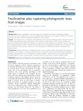 TreeSnatcher plus: Capturing phylogenetic trees from images
