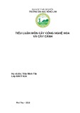 Tiểu luận môn Cây công nghệ hoa và cây cảnh: Phân tích những thuận lợi, khó khăn và đề xuất giải pháp để phát triển sản xuất hoa cây cảnh tại địa phương