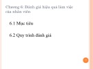 Bài giảng Quản trị nguồn nhân lực (Human resource management) - Chương 6: Đánh giá hiệu quả làm việc của nhân viên