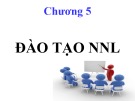 Bài giảng Quản trị nguồn nhân lực - Chương 5: Đào tạo nguồn nhân lực