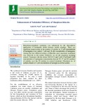 Enhancement of nodulation efficiency of mungbean Rhizobia