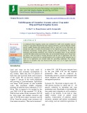 Yield response of cucumber (Cucumis sativus) crop under drip and flood irrigation system