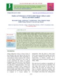 Studies on performance of self-grafted mango cultivars under nursery and field condition