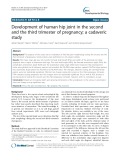 Development of human hip joint in the second and the third trimester of pregnancy; a cadaveric study