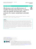 Effectiveness and cost-effectiveness of stratified blended physiotherapy in patients with non-specific low back pain: Study protocol of a cluster randomized controlled trial