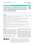 Is low-back pain a limiting factor for senior workers with high physical work demands: A cross-sectional study
