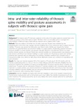 Intra- and inter-rater reliability of thoracic spine mobility and posture assessments in subjects with thoracic spine pain