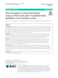 How do people in China think about causes of their back pain? A predominantly qualitative cross-sectional survey