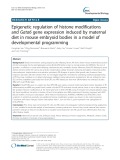 Epigenetic regulation of histone modifications and Gata6 gene expression induced by maternal diet in mouse embryoid bodies in a model of developmental programming