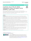 A patients’ view of OA: The Global Osteoarthritis Patient Perception Survey (GOAPPS), a pilot study