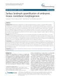 Surface landmark quantification of embryonic mouse craniofacial morphogenesis