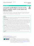 Low-grade myofibroblastic sarcoma of the levator scapulae muscle: A case report and literature review