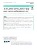 Variable fixation promotes callus formation: An experimental study on transverse tibial osteotomies stabilized with locking plates