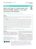 Spinal cord injury in an adult patient with thoracic butterfly vertebra: A case report and review of the literature