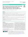 Pain intensity and pressure pain thresholds after a light dynamic physical load in patients with chronic neck-shoulder pain