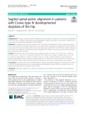 Sagittal spinal-pelvic alignment in patients with Crowe type IV developmental dysplasia of the hip