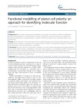 Functional modelling of planar cell polarity: An approach for identifying molecular function