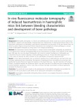 In vivo fluorescence molecular tomography of induced haemarthrosis in haemophilic mice: Link between bleeding characteristics and development of bone pathology