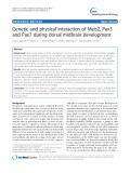 Genetic and physical interaction of Meis2, Pax3 and Pax7 during dorsal midbrain development