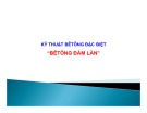 Bài giảng Kỹ thuật bê tông đặc biệt: Bê tông đầm lăn