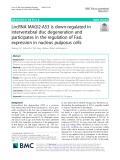 LncRNA MAGI2-AS3 is down-regulated in intervertebral disc degeneration and participates in the regulation of FasL expression in nucleus pulposus cells