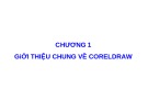 Bài giảng CorelDRAW