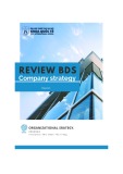 Review BDS Company strategy report