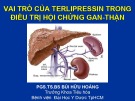 Bài giảng Vai trò của Terlipressin trong điều trị hội chứng gan thận - PGS.TS.BS Bùi Hữu Hoàng