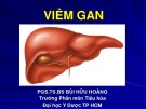 Bài giảng Viêm gan - PGS.TS.BS Bùi Hữu Hoàng