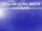 Bài giảng Siêu âm động mạch chi dưới