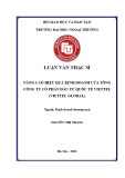 Luận văn Thạc sĩ Kinh doanh thương mại: Nâng cao hiệu quả kinh doanh của Tổng công ty cổ phần đầu tư quốc tế Viettel (Viettel Global)