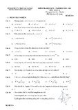 Đề thi học kì 1 môn Toán 11 năm 2020-2021 có đáp án - Trường THPT Phan Ngọc Hiển