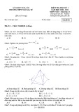 Đề thi học kì 1 môn Toán 11 năm 2020-2021 có đáp án - Trường THPT Ngô Gia Tự