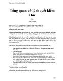 Tổng quan về lý thuyết kiểm thử