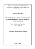 Summary of Doctoral thesis international Economic: The development of small and mediumsized enterprises in german economy in recent years
