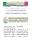 Study on identification of pasturage sources of stingless bee (Trigona iridipennis Smith.)