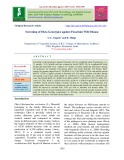 Screening of okra genotypes against fusarium wilt disease