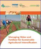 Sustainable agricultural intensification and managing water