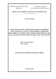 Summary of Chemistry doctoral thesis: Study on isolation and investigation of antibiotic and cytotoxic activity of secondary compounds from three actynomycetes strains Streptomyces G246, G261, G248 collected in some central East Vietnam sea