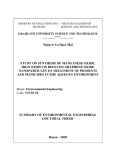 Summary of Environmental engineering doctoral thesis: Study on synthesis of manganese oxide, iron oxide on reduced graphene oxide nanoparticles to treatment of pigments and pesticides in the aqueous environment
