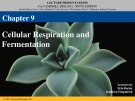 Lecture Campbell biology (9th edition) - Chapter 9: Cellular respiration and fermentation