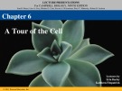 Lecture Campbell biology (9th edition) - Chapter 6: A tour of the cell