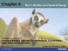 Lecture Campbell biology: Concepts and connections (Seventh edition) - Chapter 6: How cells harvest chemical energy