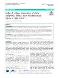 Isolated palmar dislocation of distal radioulnar joint: A new mechanism of injury: A case report