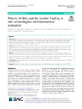 Relaxin inhibits patellar tendon healing in rats: A histological and biochemical evaluation