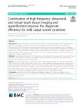 Combination of high-frequency ultrasound and virtual touch tissue imaging and quantification improve the diagnostic efficiency for mild carpal tunnel syndrome
