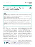 The anatomical pathology of gout: A systematic literature review