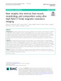 New insights into intrinsic foot muscle morphology and composition using ultra‐ high‐field (7-Tesla) magnetic resonance imaging