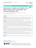 Development, validity and reliability of the Italian version of the Copenhagen neck functional disability scale